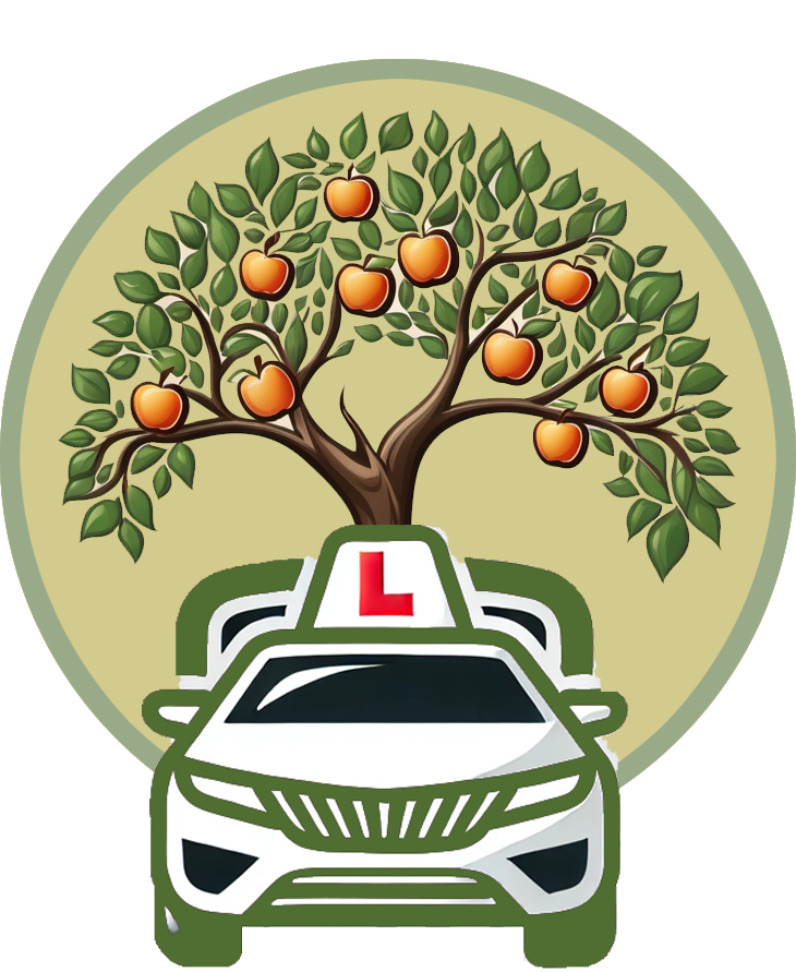 Orchard Driving School